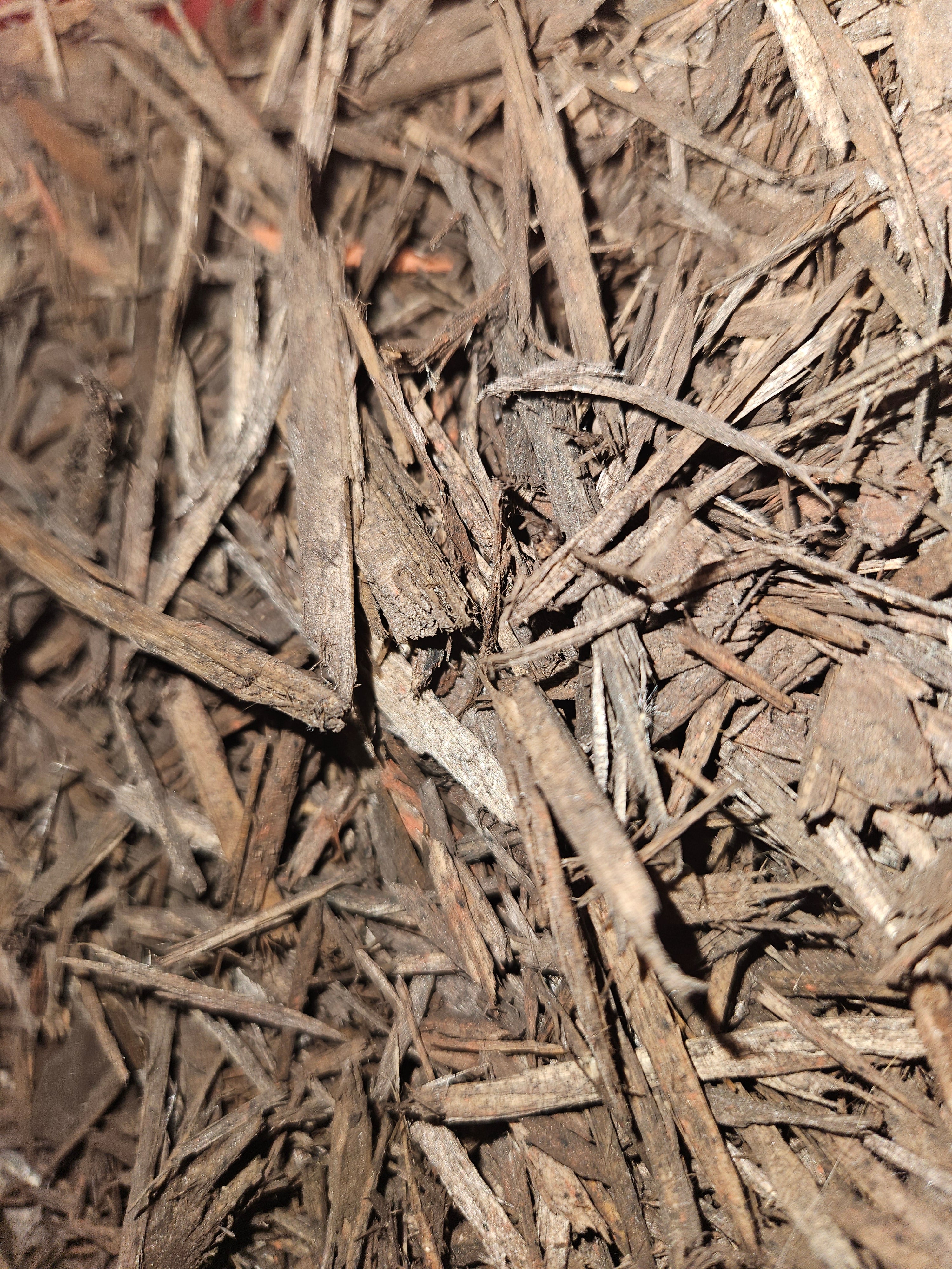 Brown Mulch in bulk