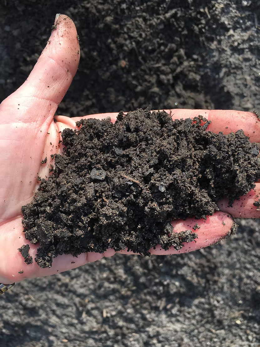 Dan' Dirt Raised Bed Mix