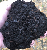 Penick Organics Loamate Soil Enricher Bag