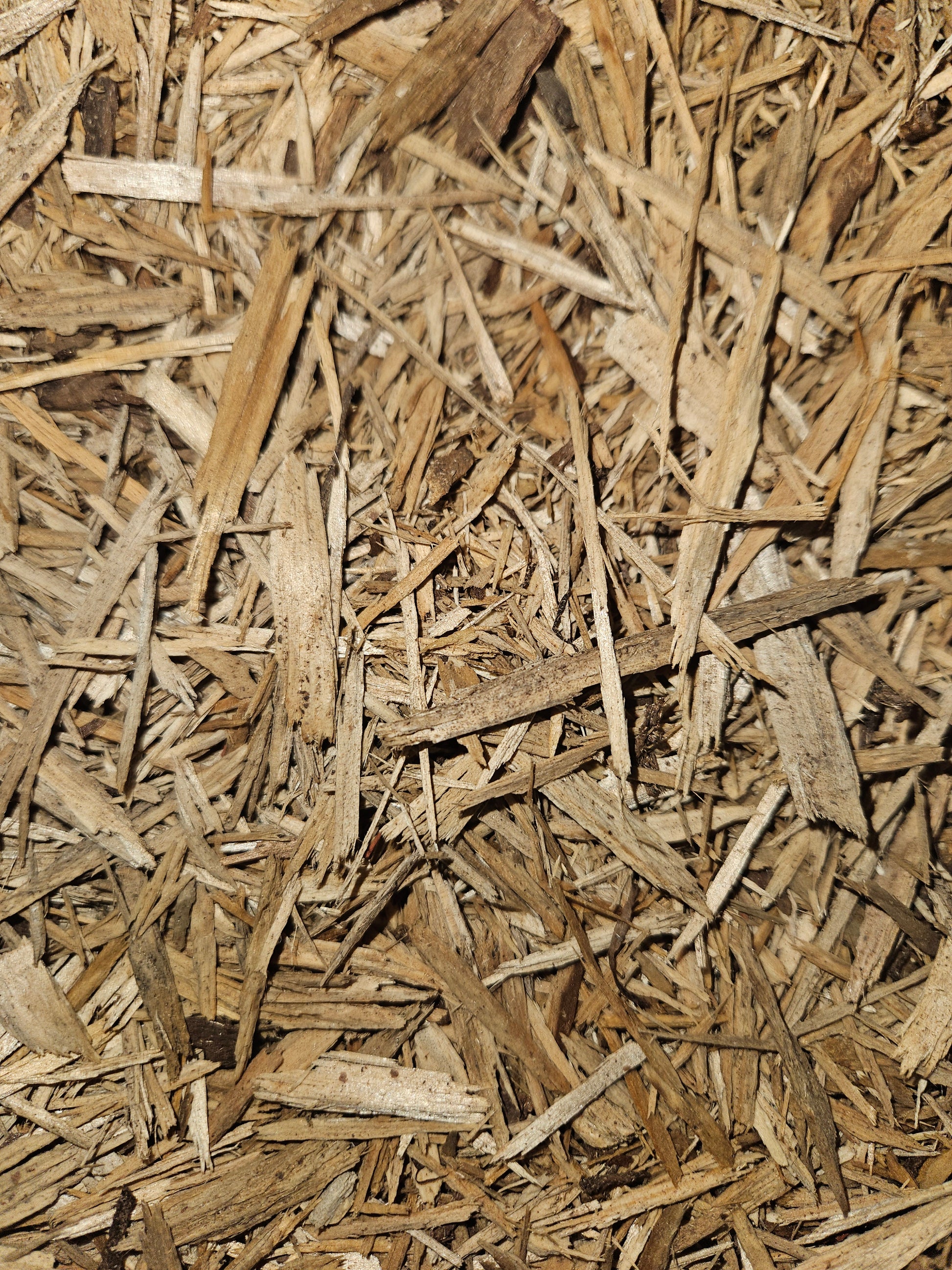 Playground mulch in bulk