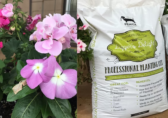Diggers Delight Professional Planting Mix