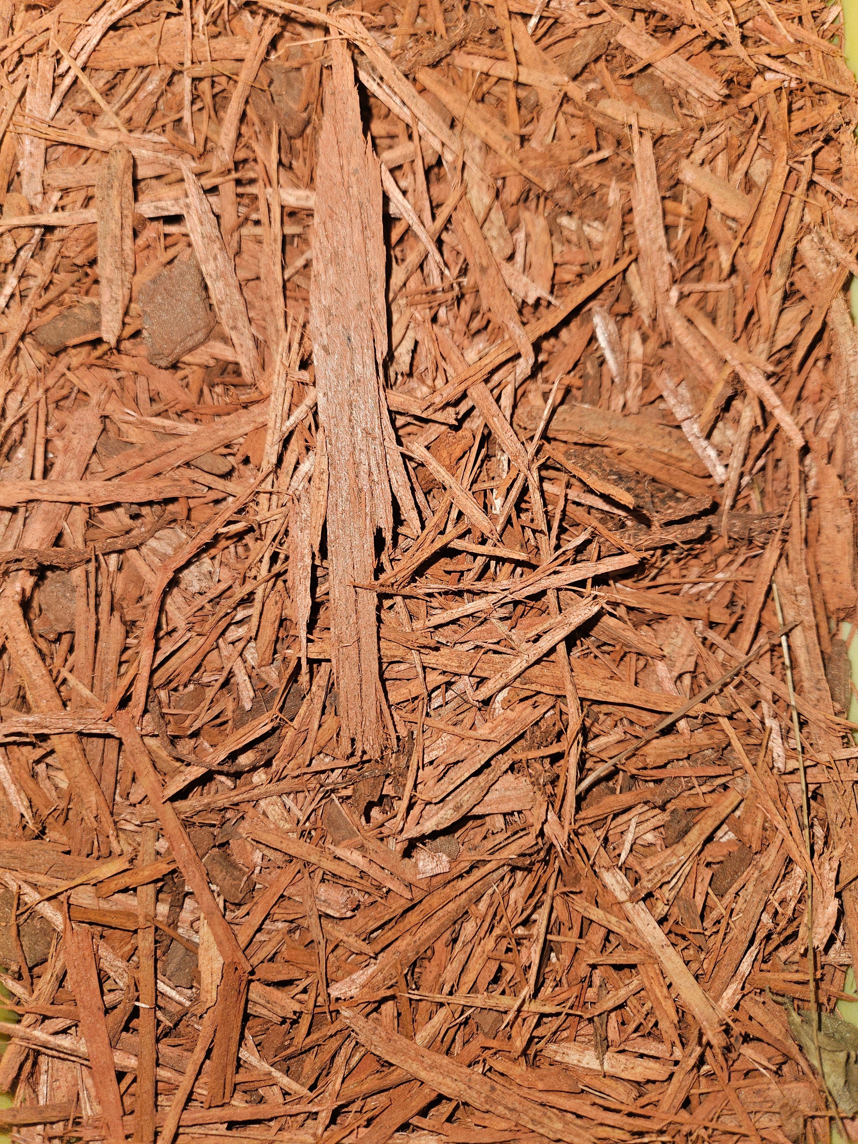 Red Mulch in bulk