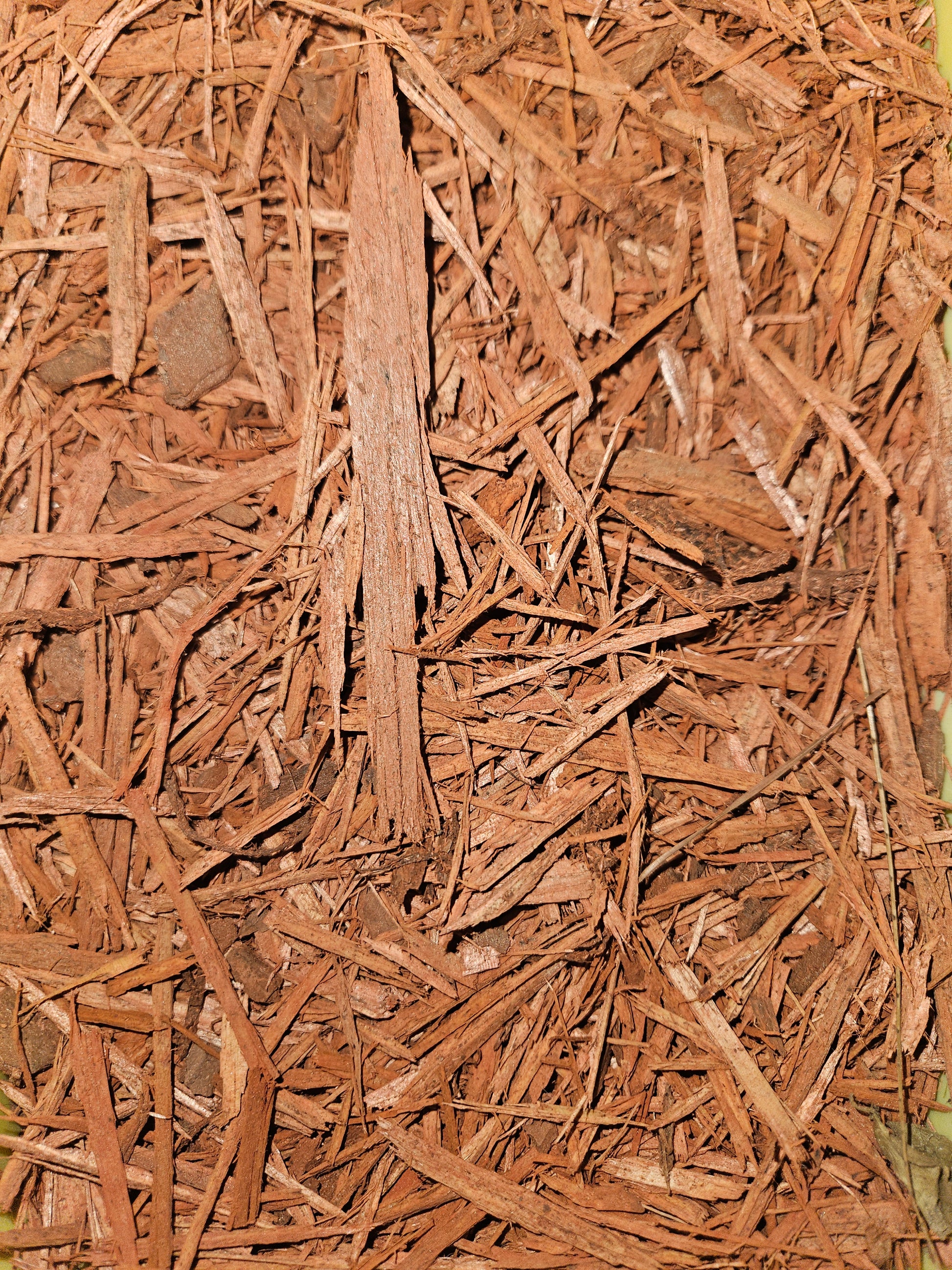 Red Mulch in bulk